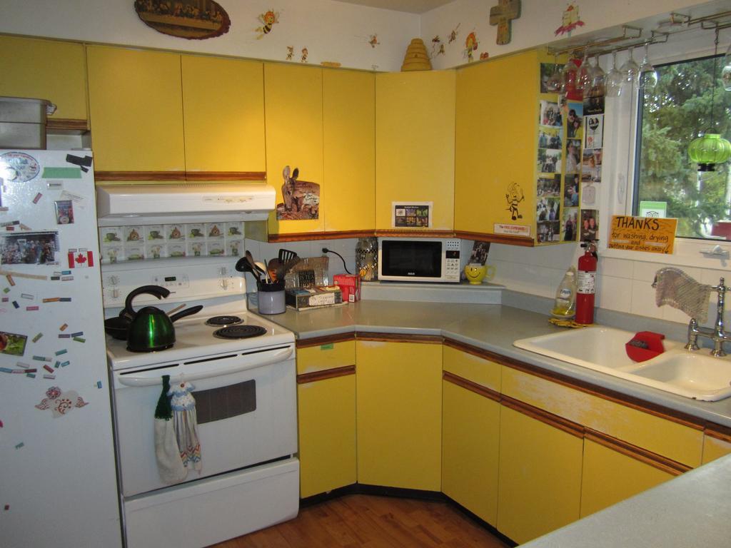 Beez Kneez Bakpakers Hostel ไวท์ฮอร์ส ภายนอก รูปภาพ