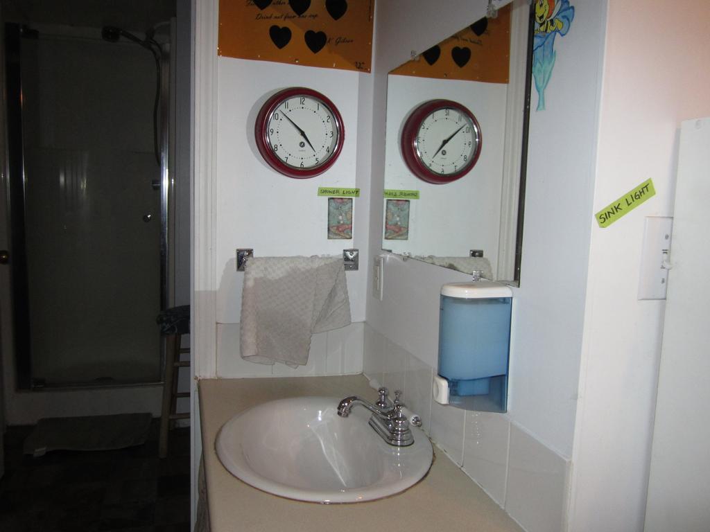 Beez Kneez Bakpakers Hostel ไวท์ฮอร์ส ห้อง รูปภาพ