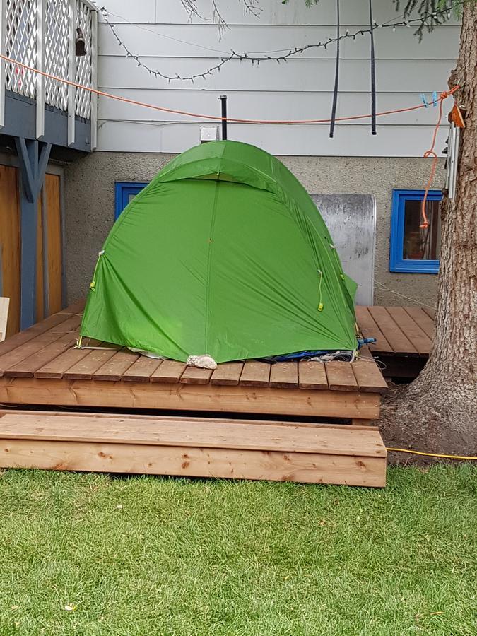 Beez Kneez Bakpakers Hostel ไวท์ฮอร์ส ภายนอก รูปภาพ
